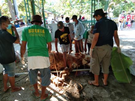 SUASANA GIAT PENYEMBELIHAN HEWAN KURBAN DUSUN MENANG